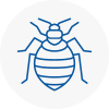 Bed Bug Extermination In Oakengates