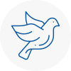 Bird Prevention Oakengates