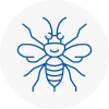 Oakengates Hornet Nest Removals