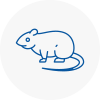Rat Control Oakengates
