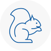 Oakengates Rodent Removals